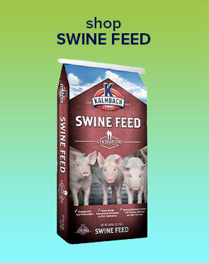 Swine Feed